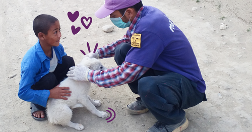 Our New Charity Partners - Mayhew, Georgia and People For Animals, India