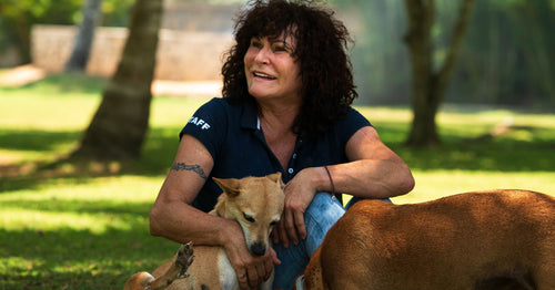 Feeding & treating 1000 stray dogs a week: the Marina Möbius story