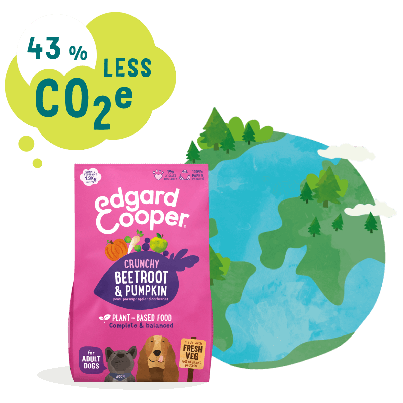 Plant-based is a planet-friendly choice